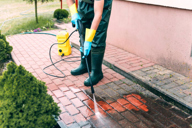 Best Surface-Specific Cleaning in Arlington Heights, WA