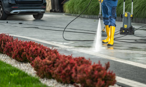 Professional  Pressure Washing in Arlington Heights, WA